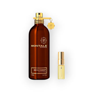 Montale Aoud Forest 3ml Parfümproben – waldiger Oudduft in handlicher Mini-Abfüllung